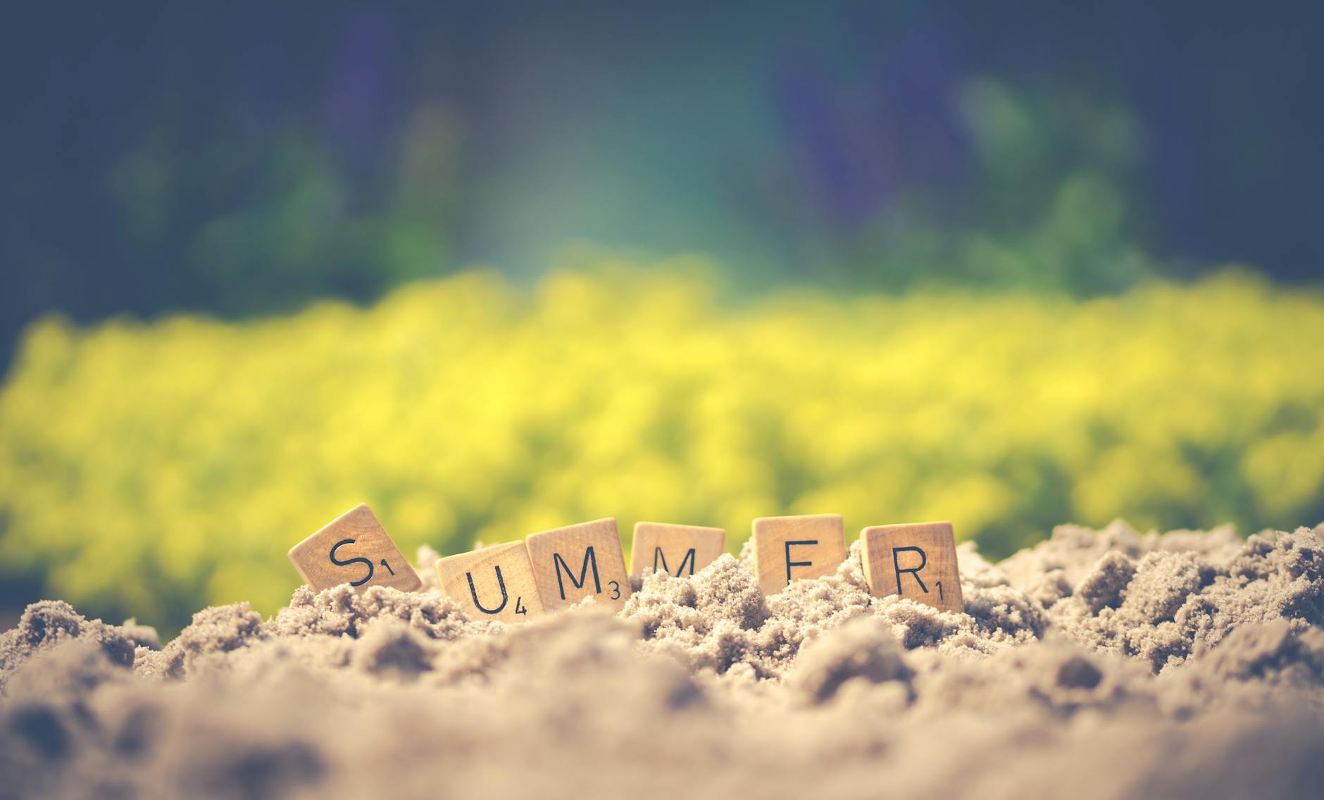 summer letter cube on soil