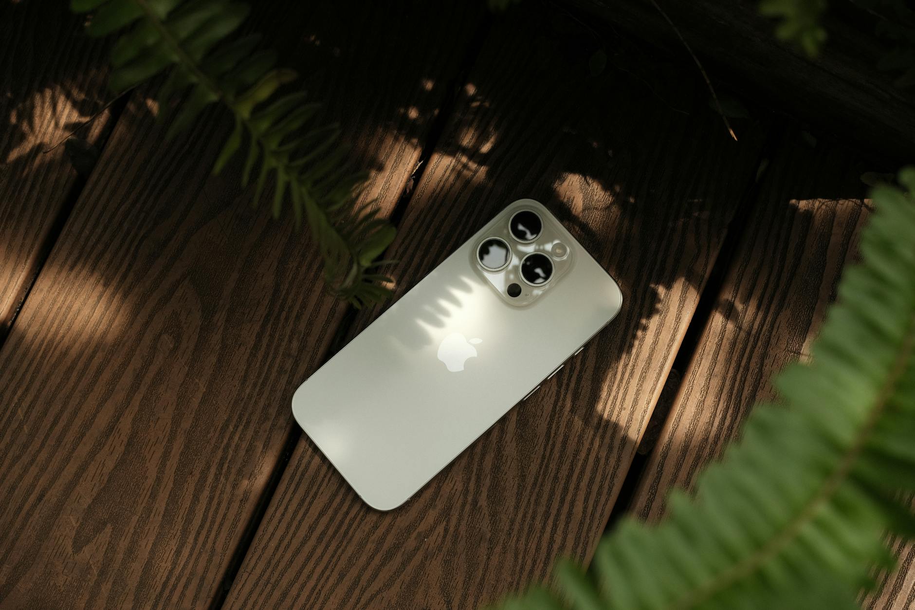 sleek smartphone on wooden deck with ferns