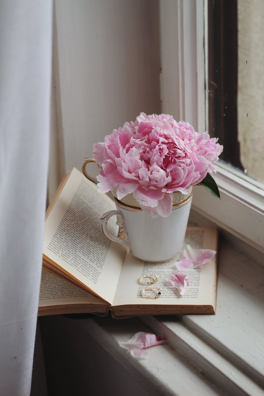 flower on book on windowsill